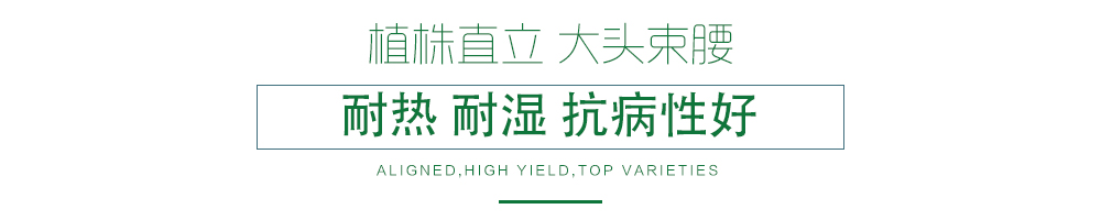 1600249517307506.jpg 07.jpg