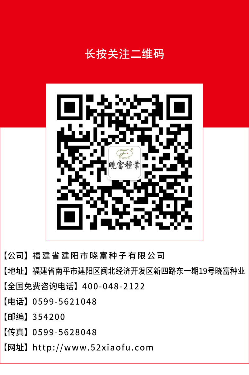 1666774921418924.jpg 頁底.jpg